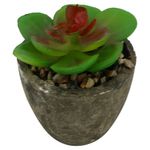 Mini_Suculenta_Artificial_Sortida_Vaso_Planta_Honey_Home_LM0698