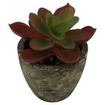 Mini_Suculenta_Artificial_Sortida_Vaso_Planta_Honey_Home_LM0698
