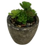 Mini_Suculenta_Artificial_Sortida_Vaso_Planta_Honey_Home_LM0698