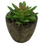 Mini_Suculenta_Artificial_Sortida_Vaso_Planta_Honey_Home_LM0698