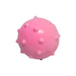 Bola_Maciça_Tamanho_M_Cravo_55mm_Sortida_Ref.2718_Pet_Toys