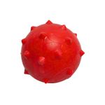 Bola_Maciça_Tamanho_M_Cravo_55mm_Sortida_Ref.2718_Pet_Toys