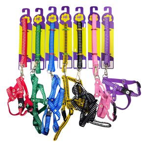 Guia E Peitoral Tradicional Nº2 Nylon Listras 3097 - Pet Toys