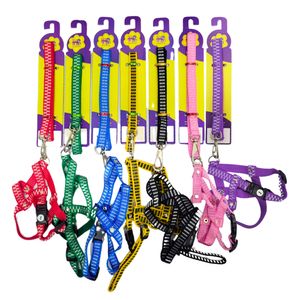 Guia E Peitoral Tradicional Nº4 Nylon Listras Ref.4000 Pet Toys