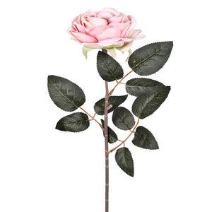 Haste Rosa Imperial Salmao 62x9,5cm 54615011 - Grillo