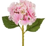 Haste_Flor_Hortênsia_Silvestre_Rosa_Claro_Cx240_33x14cm_53581006_-_Grillo