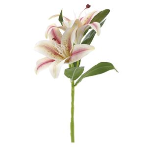 Haste Lírio X2 Champagne 39cm 1062205 - Cromus