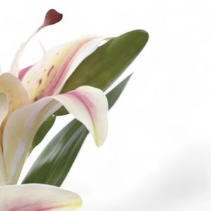 Haste Lírio X2 Champagne 39cm 1062205 - Cromus