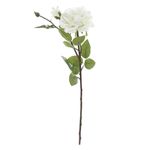 Haste_Rosas_X2_Branco_62cm_Ref.1062973_Cromus