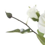Haste_Rosas_X2_Branco_62cm_Ref.1062973_Cromus