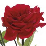 Haste_Rosas_X2_Vermelho_62cm_Ref.1062977_Cromus
