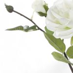Haste_Rosas_X2_Branco_62cm_Ref.1062973_Cromus