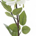 Haste_Rosas_X2_Branco_62cm_Ref.1062973_Cromus