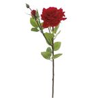 Haste_Rosas_X2_Vermelho_62cm_Ref.1062977_Cromus
