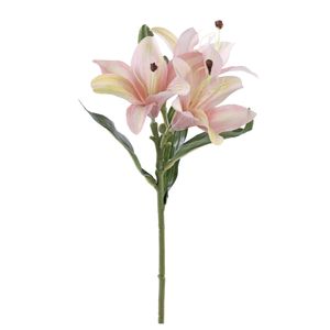 Haste Lírio X3 Champagne 45cm 1062521 - Cromus
