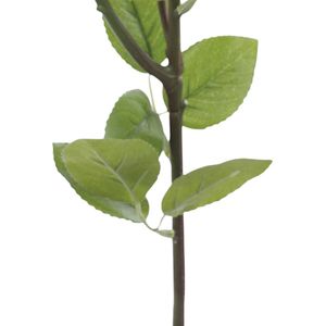 Haste Rosas X2 Vermelho 62cm 1062977 - Cromus