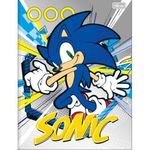 Caderno_Universitário_Brochurão_Capa_Dura_Sonic_Sortido_80_Folhas_Ref.342998_Tilibra