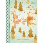 Caderno_Colegial_Brochura_Capa_Dura_Pooh_Sortido_80_Folhas_Ref.383929_Tilibra