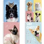 Caderno_Universitário_1_Matéria_My_Pets_Sortido_233081/10188_-_São_Domingos