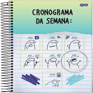 Caderno Universitário Espiral Flork 1 Matéria 80 Folhas 7299723/7299724 - Jandaia