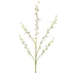 Haste_Orquídea_X5_Creme_Chuva_de_Ouro_92x19cm_Ref.29200010_Grillo