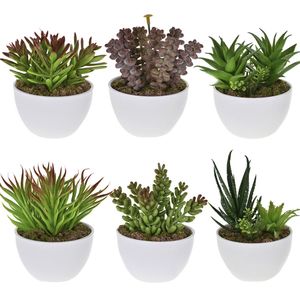 Arranjo Vaso Suculenta X6 Cores Sortidas 12x9x5cm 40866300 - grillo