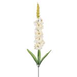 Flor_Hastes_Delfinium_Outono_Creme_-_Grillo