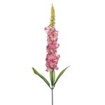 Haste_Delfinium_Outono_Rosa_Outono_55x5cm_Ref.24355241_Grillo
