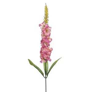 Haste Delfinium Outono Rosa Outono 55x5cm 24355241 - grillo