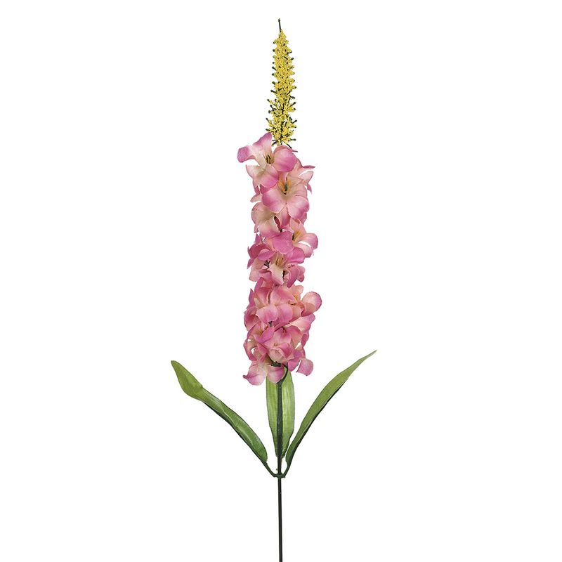 Haste_Delfinium_Outono_Rosa_Outono_55x5cm_Ref.24355241_Grillo