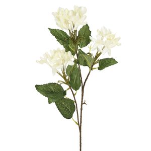 Haste Angélica X3 Creme 60x20cm 51885010 - Grillo