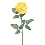 Haste_Rosa_Diamante_Veludo_Amarelo_62x9cm_Ref.55203005_Grillo