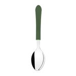 Colher_de_Mesa_Leme_Aço_Inox_Cabo_Polipropileno_Verde_Ref.29812447_Tramontina
