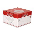 Conjunto_4_Xícaras_Chá_200ml_Com_Pires_Royal_Porcelana_Branca_Com_Borda_Dourada_Ref.JGCH063_Hauskraft