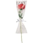 Flor_Rosa_Vermelha_Love_Plástica_Embalada_Para_Presente_7x7x40cm_Ref.LM3295_honeyhome