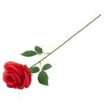 Flor_Rosa_Vermelha_Love_Plástica_Embalada_Para_Presente_7x7x40cm_Ref.LM3295_honeyhome