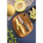 Faca_Para_Legumes_E_Frutas_Solutta_Com_Lâmina_Em_Aço_Inox_E_Cabo_Em_Policarbonato_Preto_4"_Ref.24251104_Tramontina