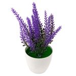 Vaso_Lavanda_Harmonia_Plástico_E_Pvc_6,5x6,5x17cm_Ref.LM3726_honeyhome