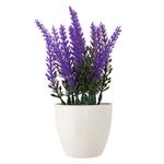 Vaso_Lavanda_Harmonia_Plástico_E_Pvc_6,5x6,5x17cm_Ref.LM3726_honeyhome