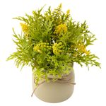 Vaso_Plantas_Sortidas_Harmonia_Plástico_Pp_E_Pvc_9,5x9,5x20cm_Ref.LM3724_honeyhome