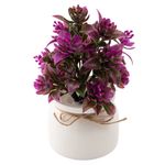 Vaso_Plantas_Sortidas_Harmonia_Plástico_Pp_E_Pvc_9,5x9,5x20cm_Ref.LM3724_honeyhome