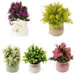 Vaso_Plantas_Sortidas_Harmonia_Plástico_Pp_E_Pvc_9,5x9,5x20cm_Ref.LM3724_honeyhome
