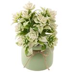 Vaso_Plantas_Sortidas_Harmonia_Plástico_Pp_E_Pvc_9,5x9,5x20cm_Ref.LM3724_honeyhome