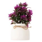 Vaso_Plantas_Sortidas_Harmonia_Plástico_Pp_E_Pvc_9,5x9,5x20cm_Ref.LM3724_honeyhome