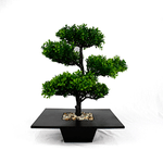 Vaso_Arranjo_Bonsai_Preto_Sortido_Tamanho_G_DF14_-_Dila_Flores