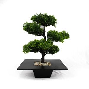 Vaso Arranjo Bonsai Preto Sortido Tamanho G DF14 - Dila Flores