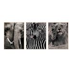 Conjunto_Quadros_Trio_Safari_Mdf_Ref.XF589371_Brascontinental
