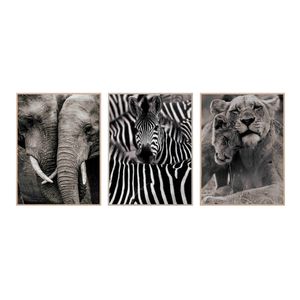 Conjunto Quadros Trio Safari MDF XF589371 - Brascontinental