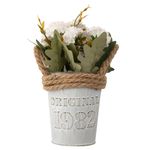 Vaso_com_Cânhamo_Harmonia_Ferro_e_Poliéster_Sortido_8,5x8,5x14cm_LM3801_-_honeyhome