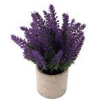Vaso_Lavanda_Harmonia_Plástico_PVC_e_Polpa_7,5x7,5x22cm_LM3725_-_honeyhome